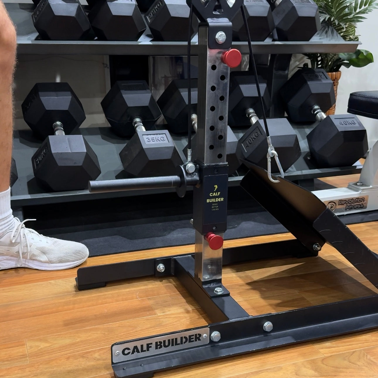 Calf Builder | Calf Raise Machine