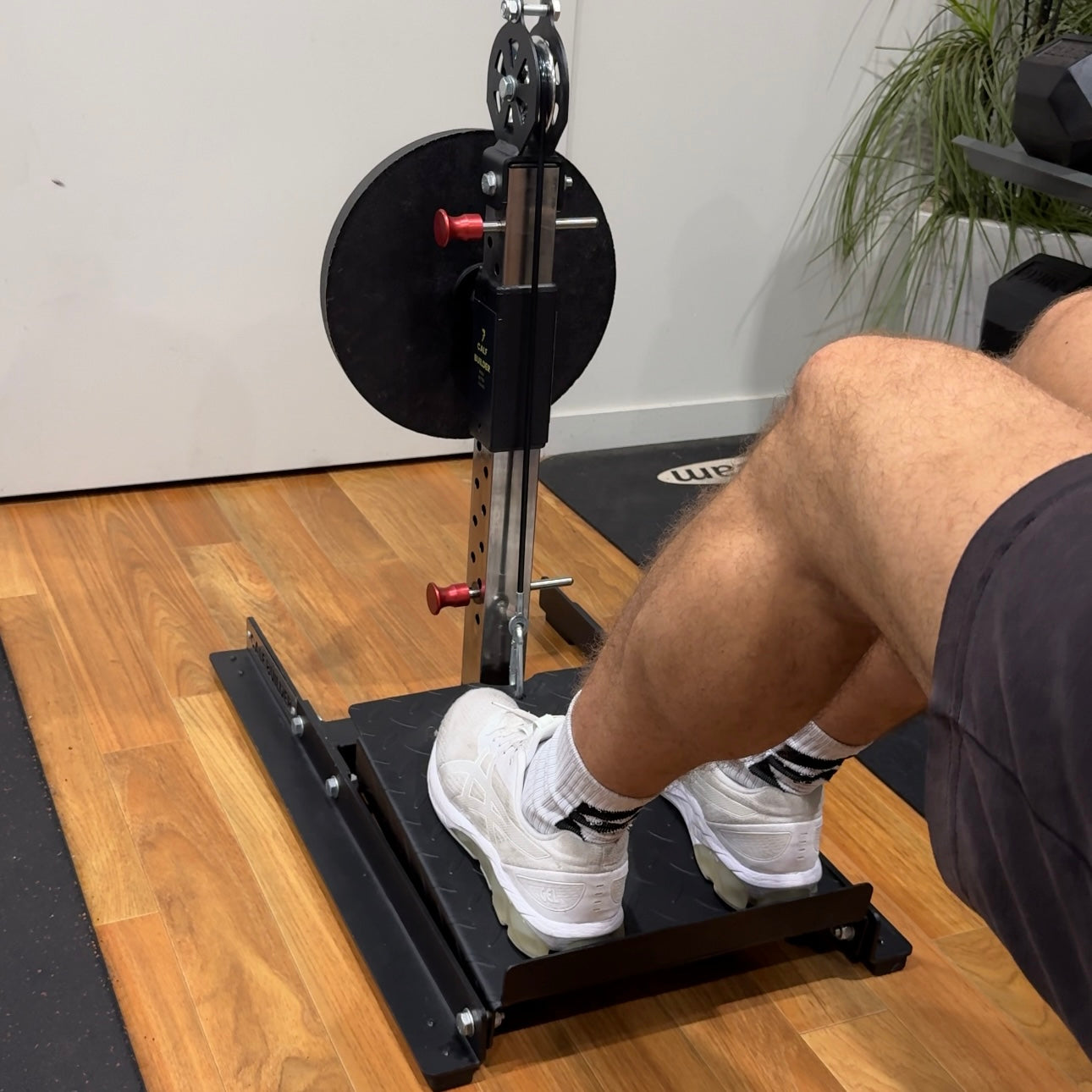 Calf Builder | Calf Raise Machine