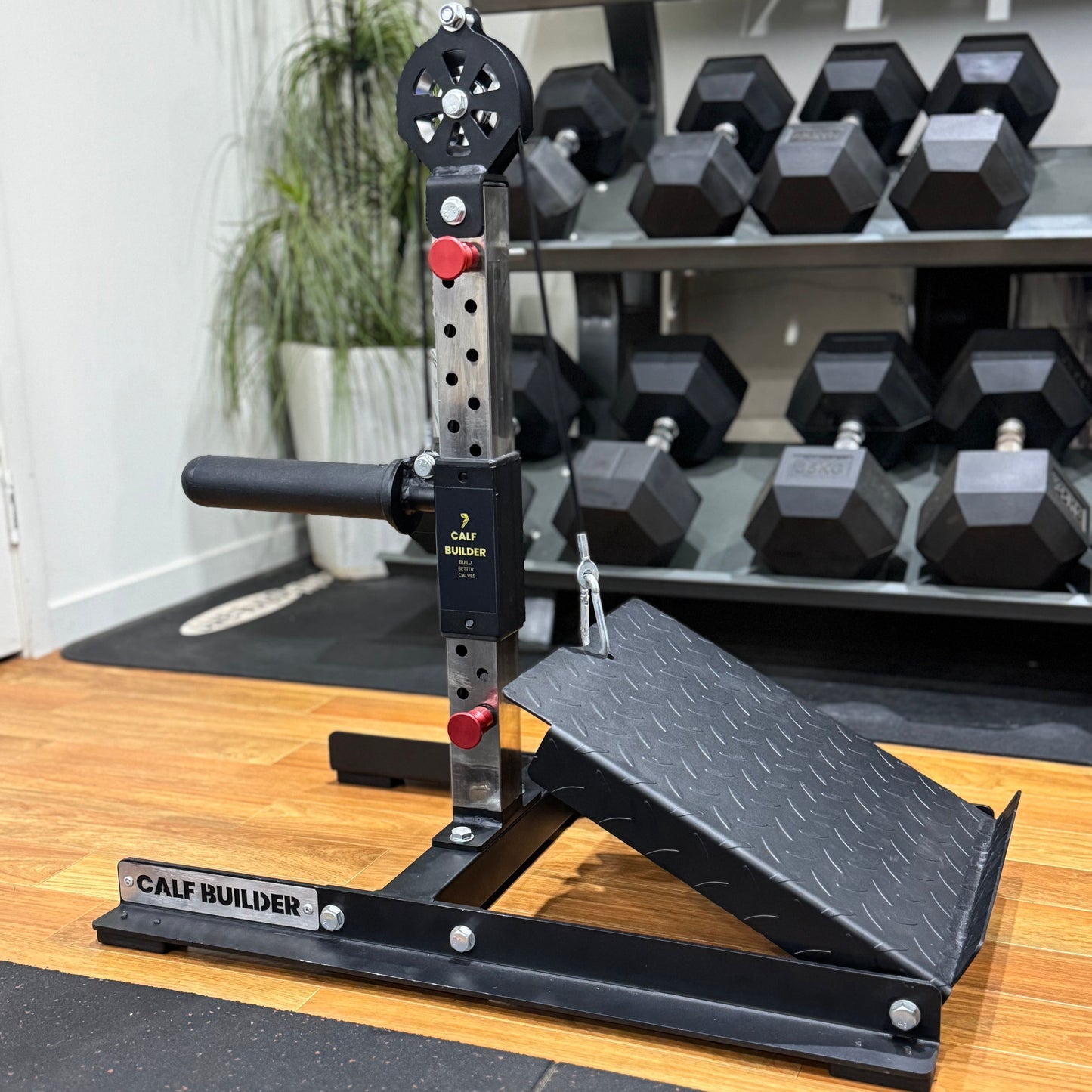 Calf Builder | Calf Raise Machine