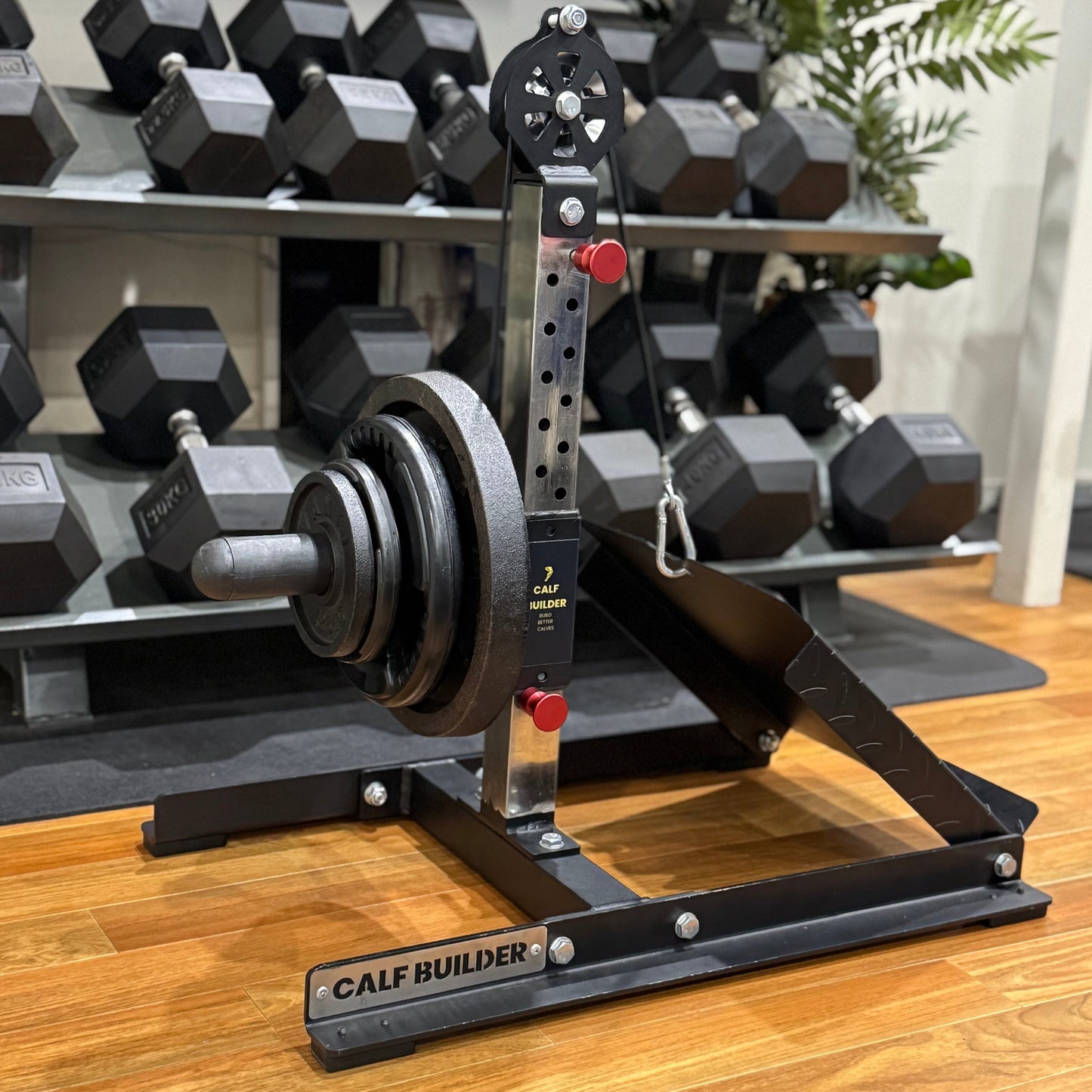 Calf Builder | Calf Raise Machine