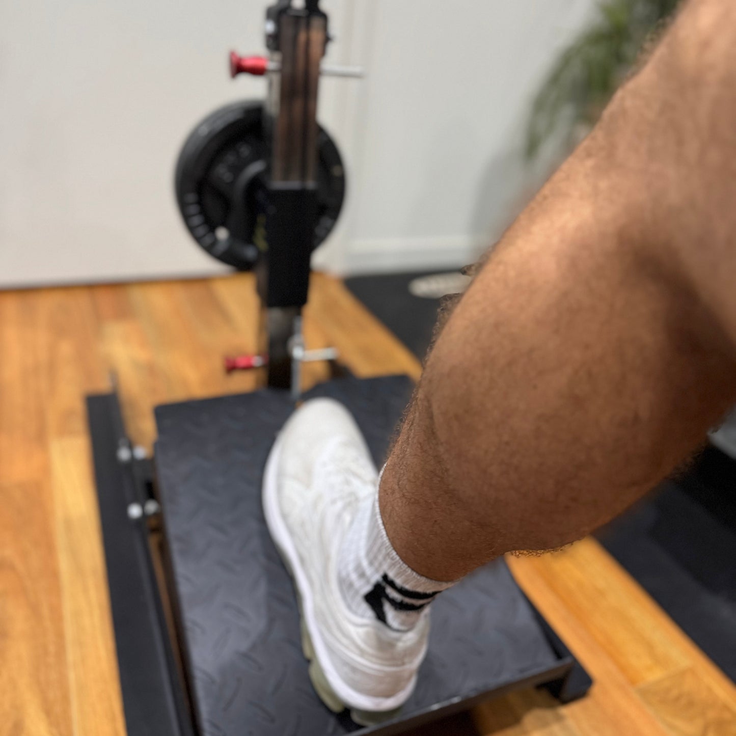 Calf Builder | Calf Raise Machine